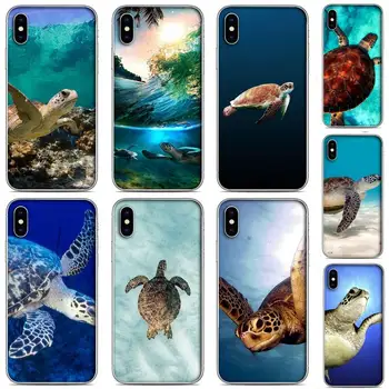 Søde Sea turtle Telefonen Sagen Klar-Iphone 5 5s se 6 6s 7 8 11 12 X Xs-Xr Pro Plus Max Mini Cover