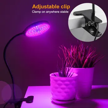 USB-LED-Grow Light 5V LED vækst Lys Fulde Spektrum For LED Planter Lampe Til indendørs Vegetabilske Blomst sætteplante Vokse Telt Drivhus