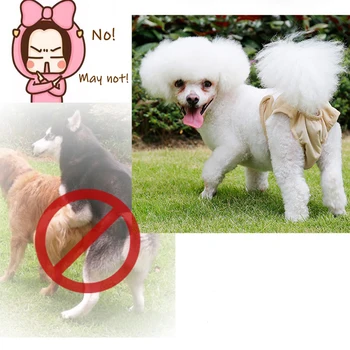 Åndbar Kvindelige Dog Shorts Hvalp Fysiologiske Bukser Sanitære Hund Ble Anti-chikane Sundhed Pet Undertøj Til Pige Hund,